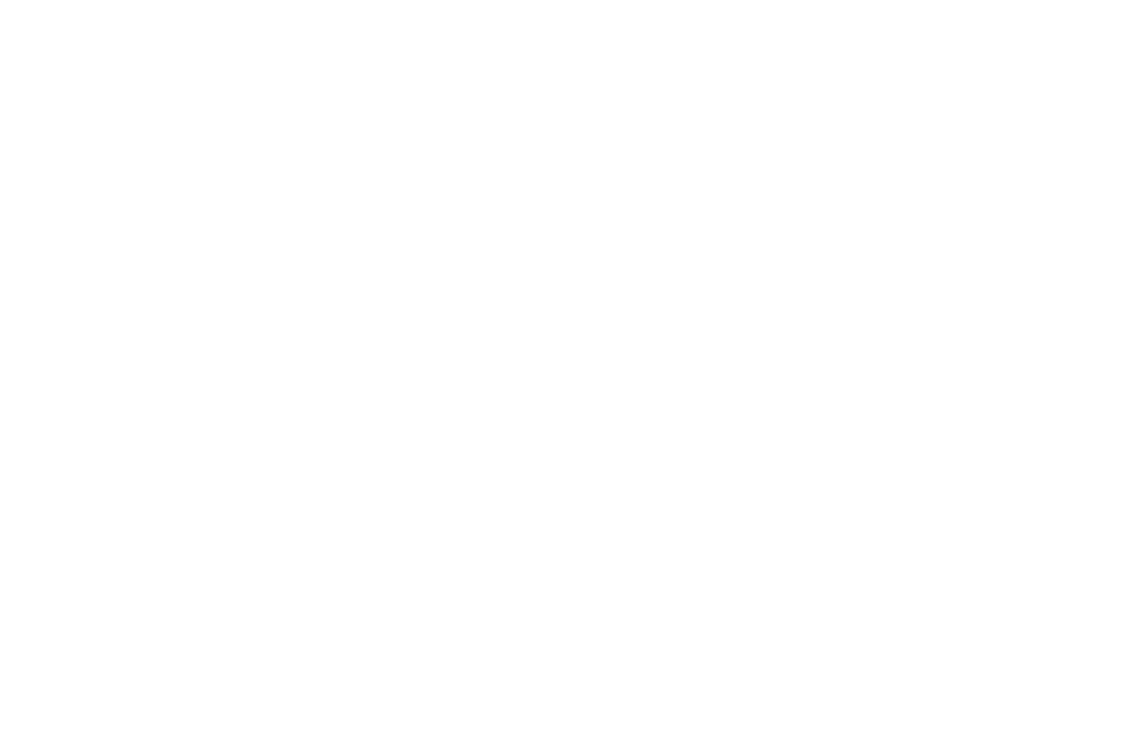 legoop